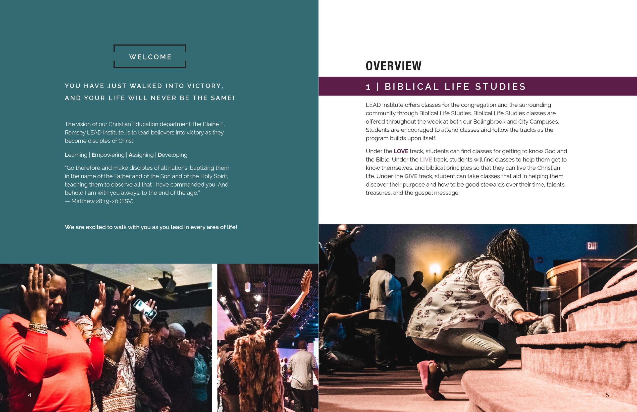 Lead Institute Catalog